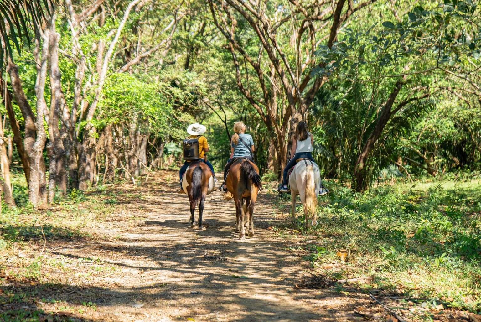 Riders enjoying scenic equestrian trails at Ventanas del Mar near Playa Carrillo, Costa Rica