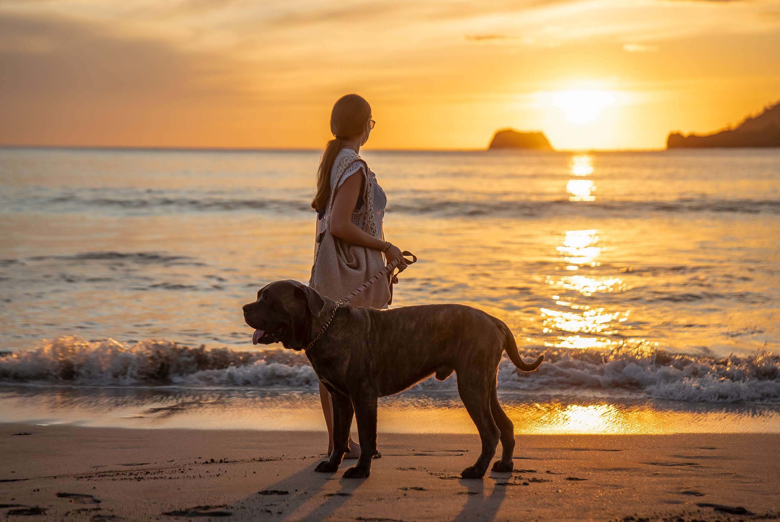 Explore a lush Costa Rican jungle during a luxury travel experience.