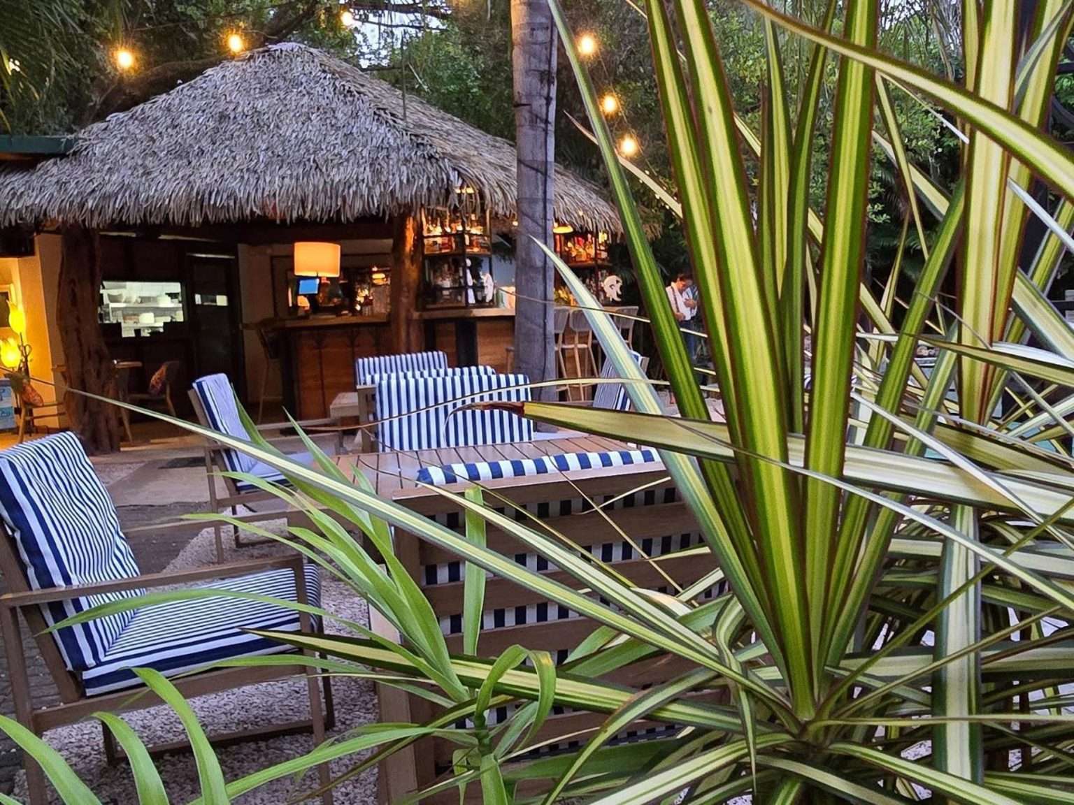 Discover the best dining and culinary experiences near Playa Carrillo and Sámara