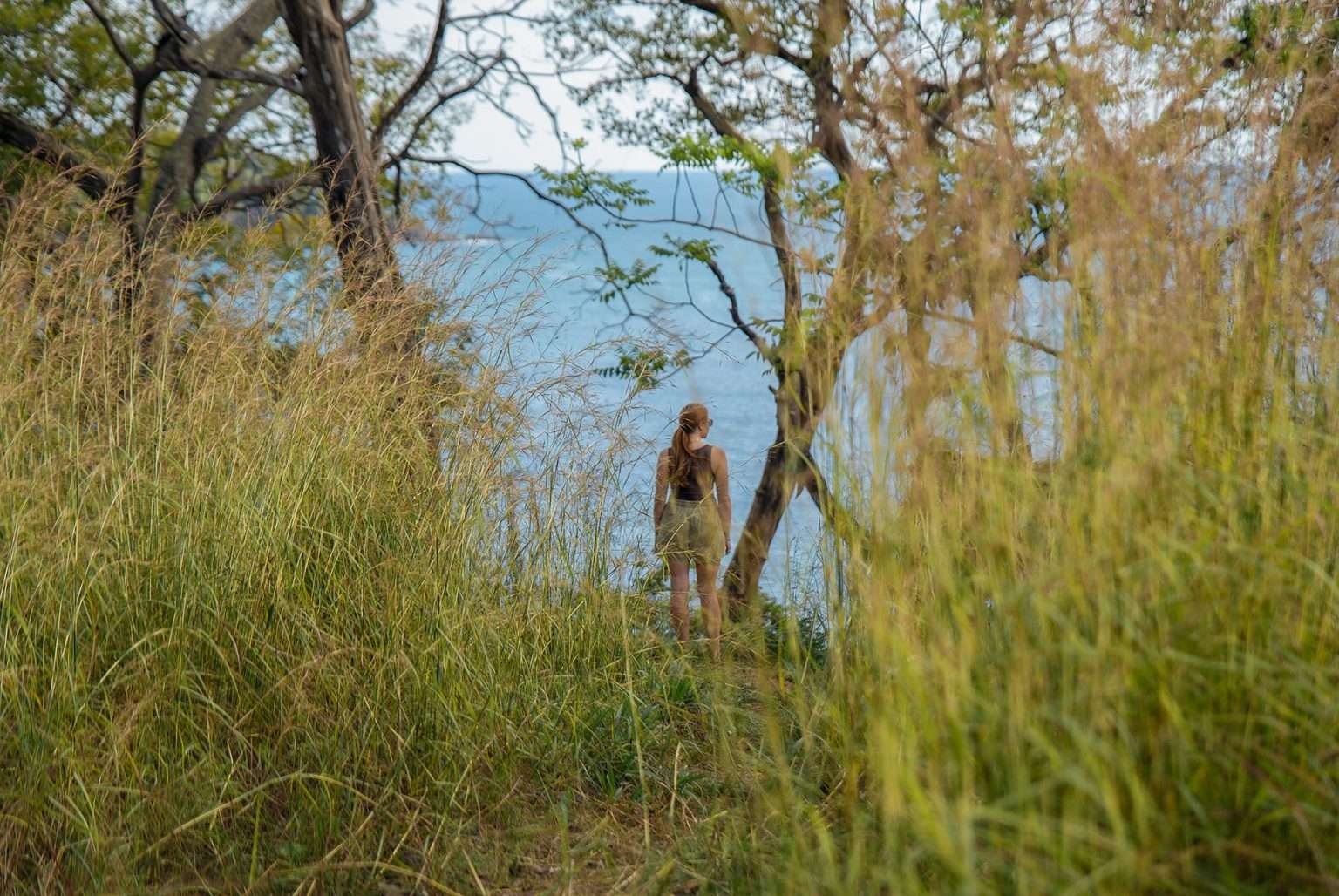 Nature trail at Las Ventanas del Mar surrounded by lush tropical vegetation and native wildlife habitat.