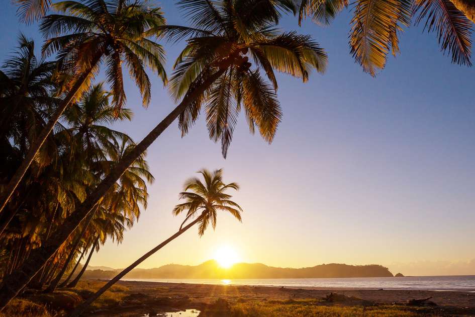 Palm trees silhouetted against a golden sunset at Playa Carrillo beach on Costa Rica's Nicoya Peninsula