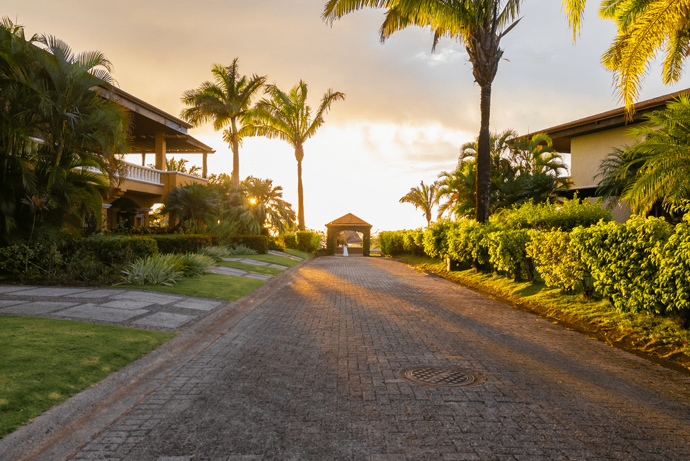 Palm-lined entrance road at Ventanas del Mar in Costa Rica, showcasing lush tropical landscaping and luxury accommodations at sunset.