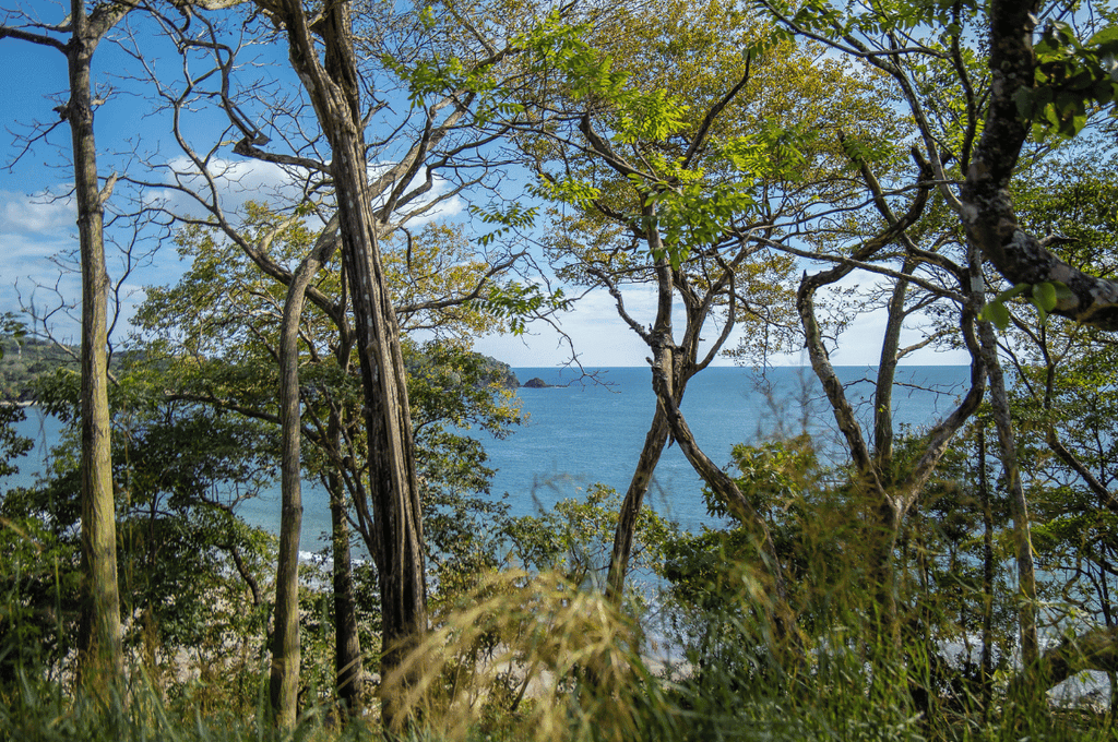 Blue Pacific Ocean seen through tropical dry forest trees above Playa Carrillo, Costa Rica.